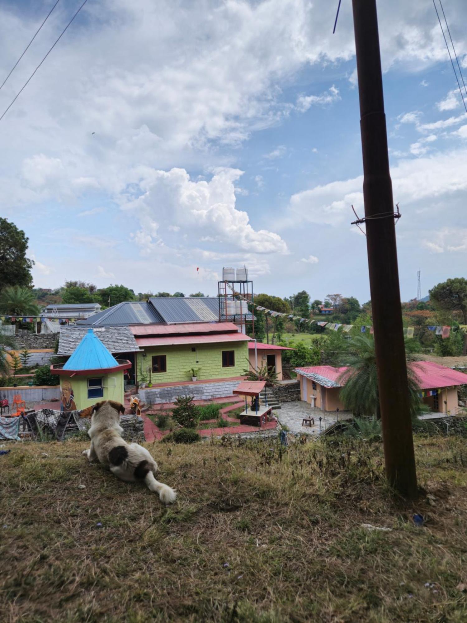 Tathastu Bir -Homestay ,Dorm,Hostel Exterior foto